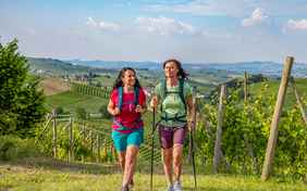 Wanderungen entlang der Rebstöcke des berühmten Barolo Weins